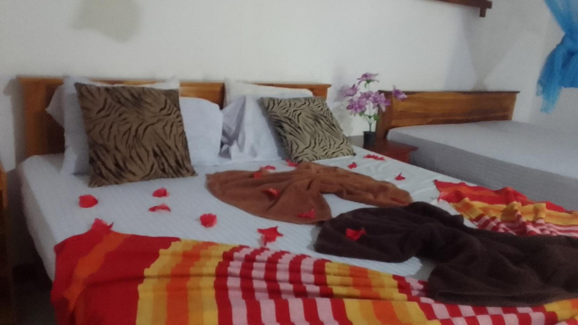 Sigiriya Village Home Stay المظهر الخارجي الصورة