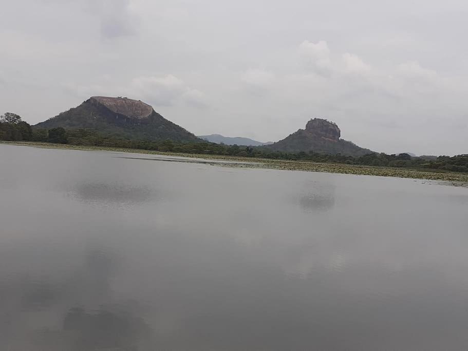 Sigiriya Village Home Stay المظهر الخارجي الصورة