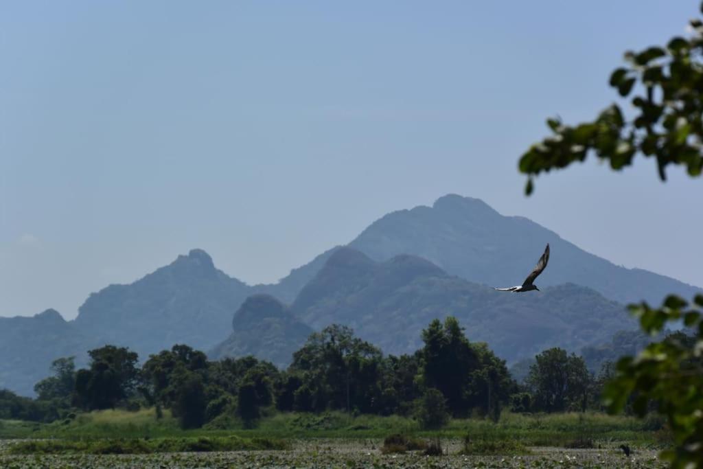 Sigiriya Village Home Stay المظهر الخارجي الصورة