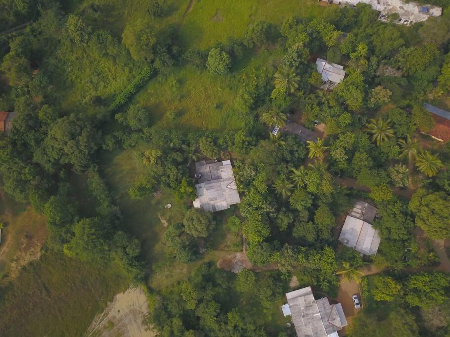 Sigiriya Village Home Stay المظهر الخارجي الصورة